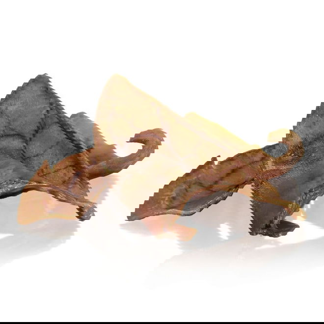 ESSENTIAL Possunkorva koiralle 150g