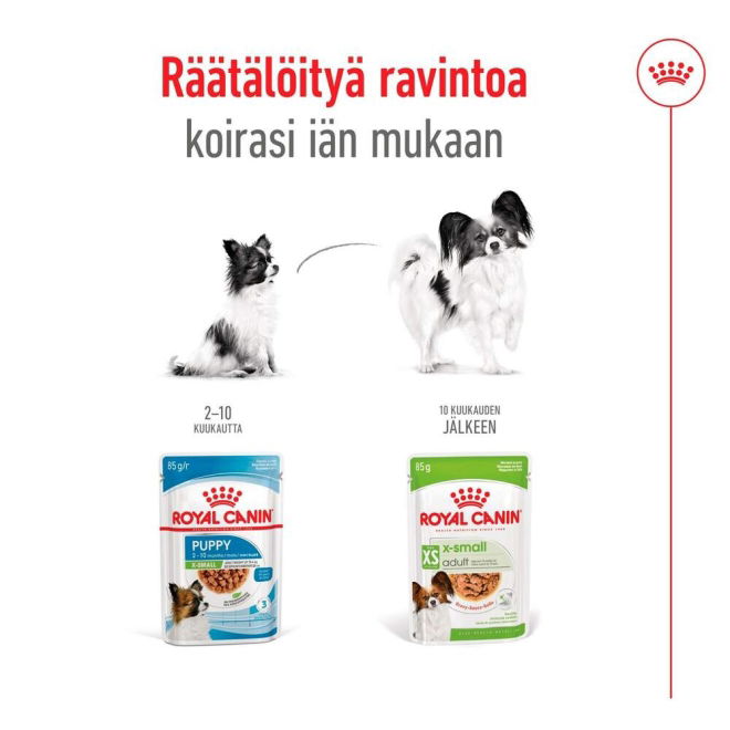 Royal Canin XS Adult märkäruoka 12 x 85 g