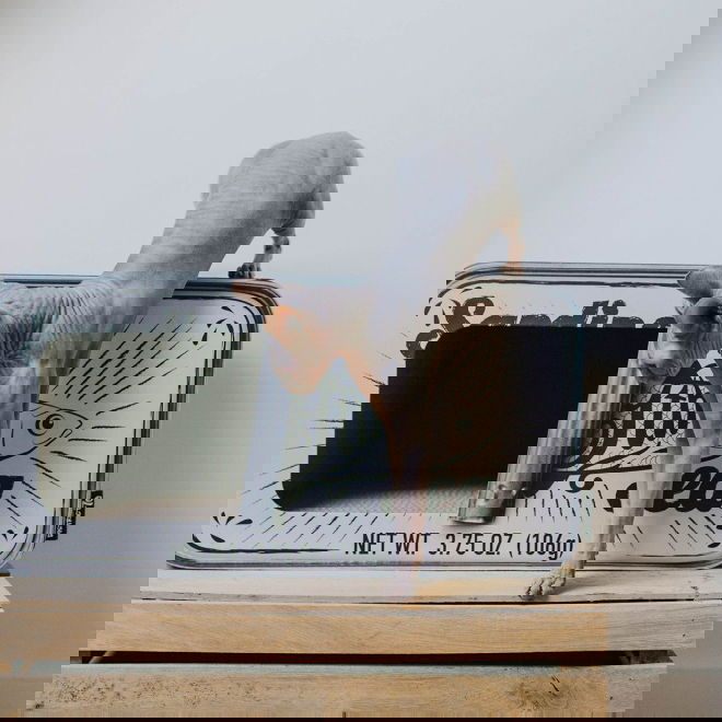 Kissan raapimislaatikko sardiinit&ouml;lkki