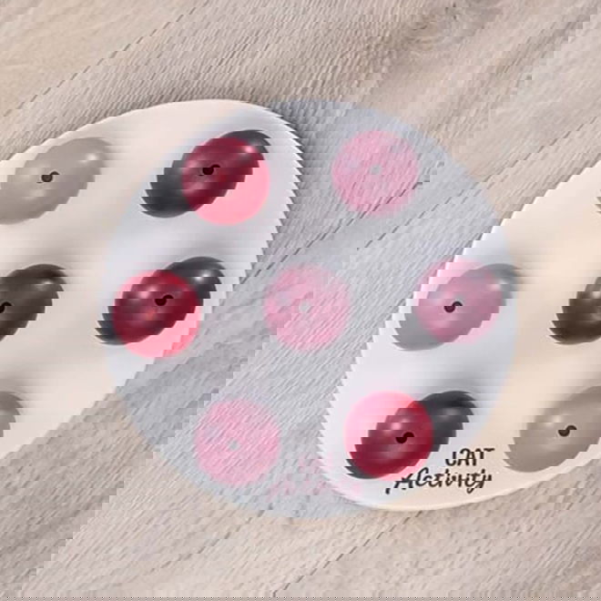 Aktivointilelu Trixie Cat Solitaire