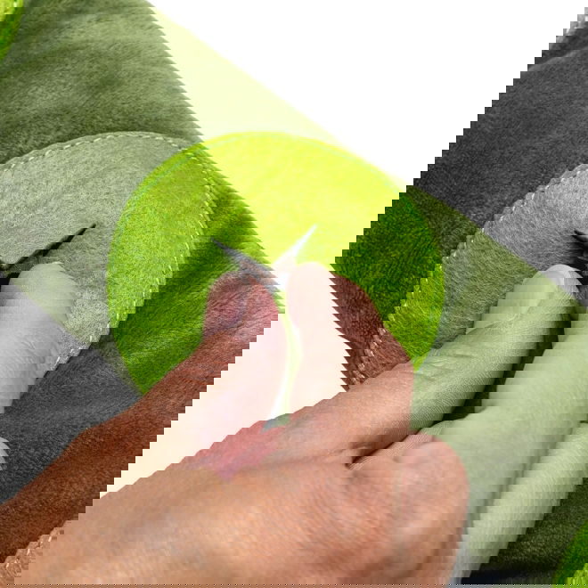 Beeztees Hide N Seek Jungle Snake