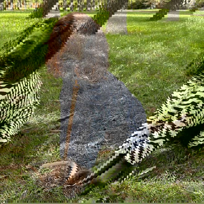 Rukka Zebra haalari