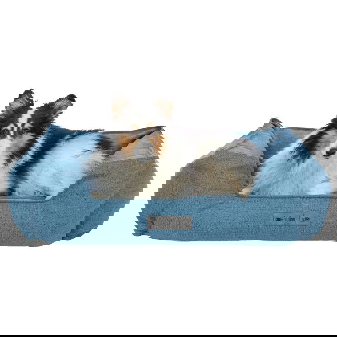 Peti Trixie Talis sininen