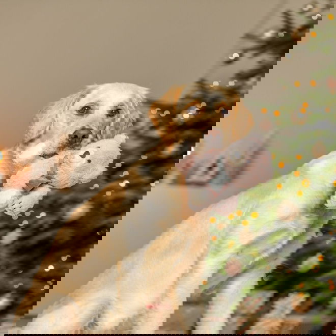 Trixie Xmas Pehmonalle 19 cm