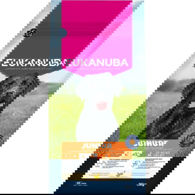 Eukanuba Junior Large