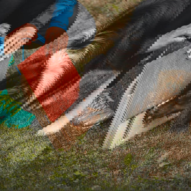 Loype Mani-Pedi raapimalauta koiralle