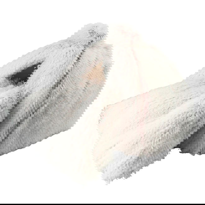 Petcare Kitty Play kissanpeti (Pinkki)