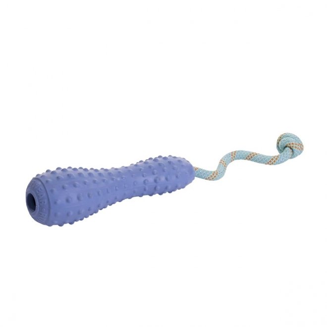Ruffwear Gourdo -koiran heittolelu, violetti