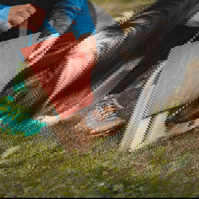 Loype Mani-Pedi raapimalauta koiralle