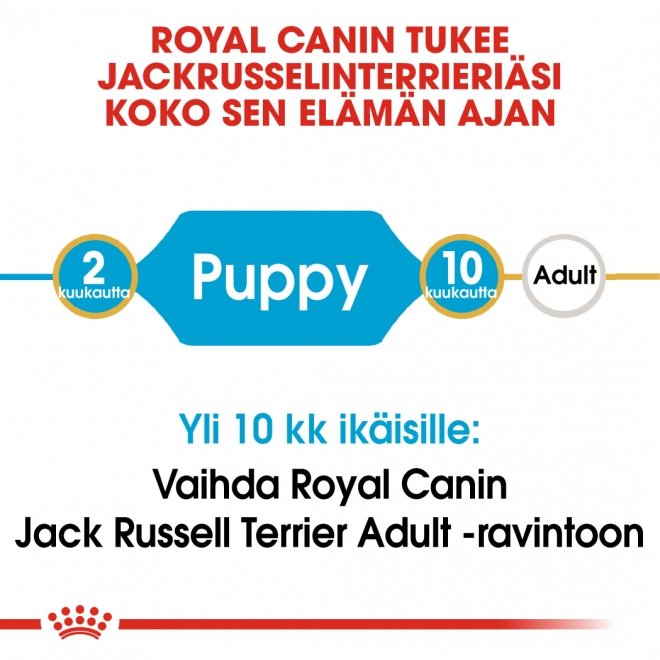 Royal Canin Jack Russel Puppy, 1,5 kg