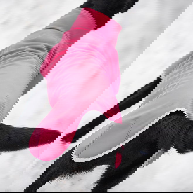 SporttiPomppa, pinkki