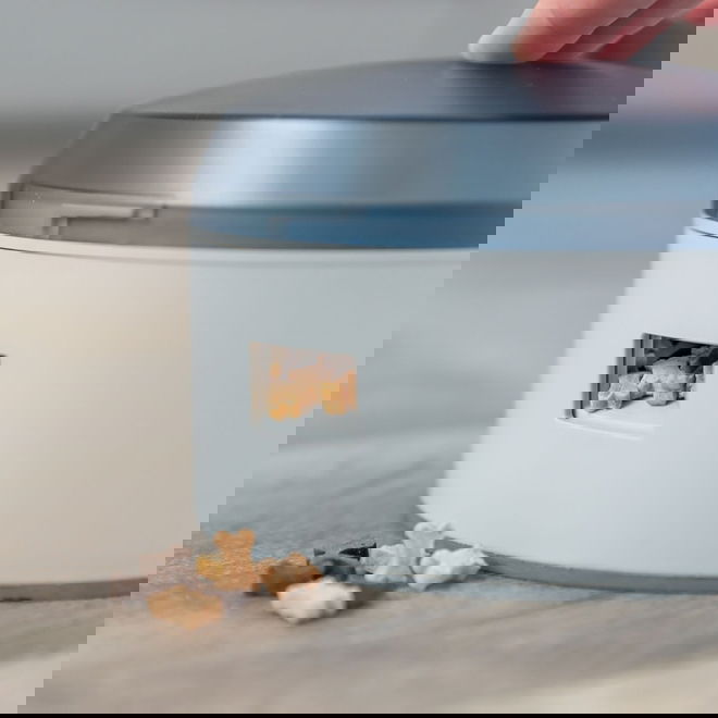 Trixie Dog Activity Buzzer