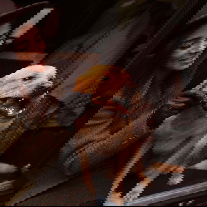 ESSENTIAL Rabbit Delights 100g