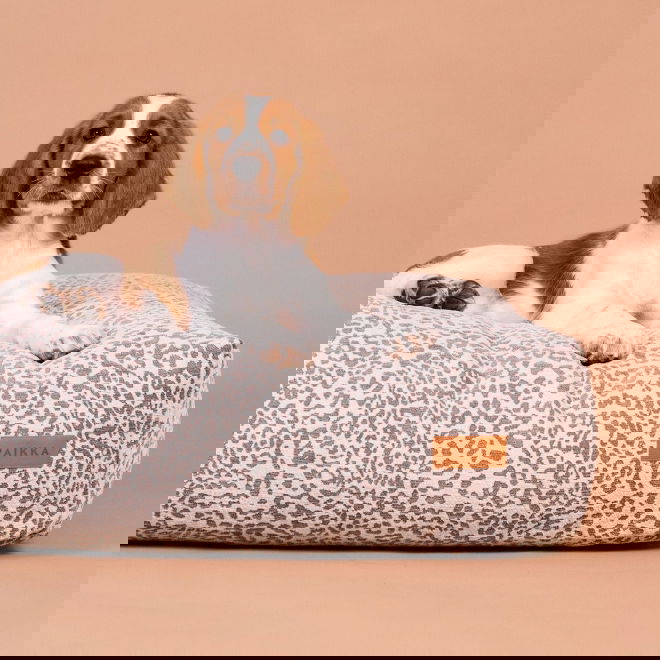 Koiran patja PAIKKA stone leo