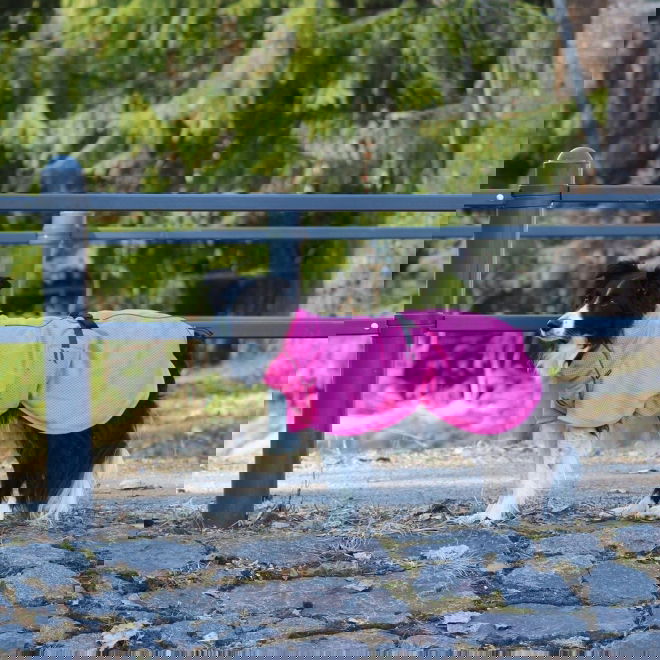 Back on Track verkkoloimi Limited Edition, Hot Pink