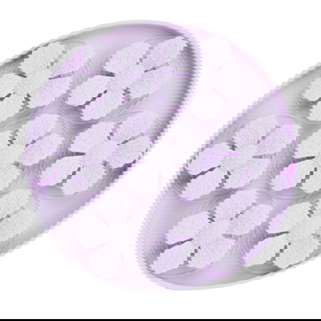 Little&Bigger Blossom 3D-nuuskulautanen