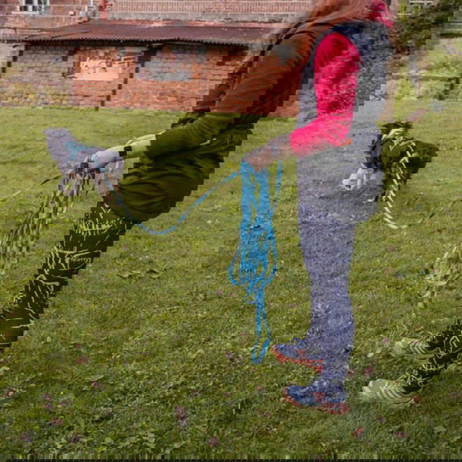 Loype Saxana Tracking Line