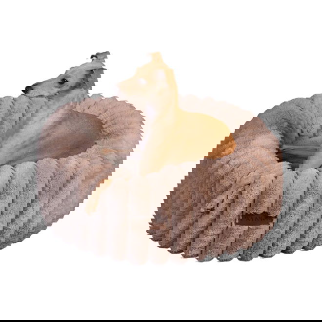 Ortopedinen peti PAIKKA round