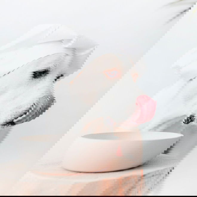 Kuppi District 70 bambu, Beige