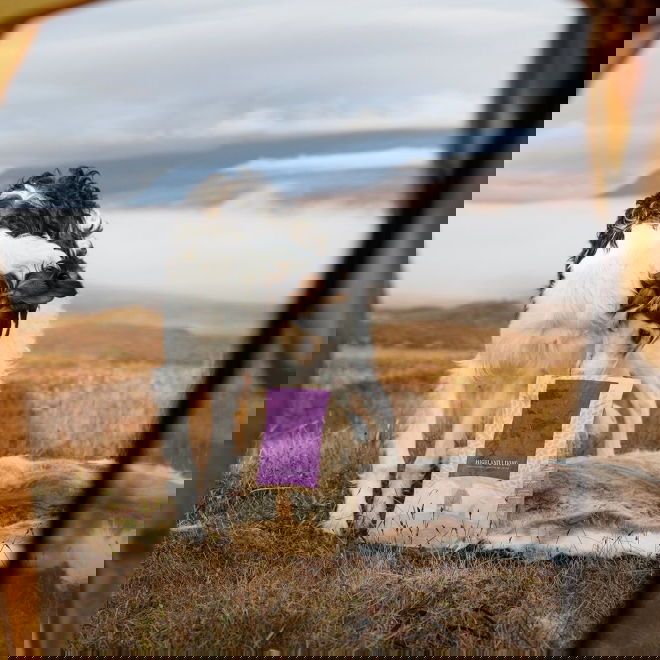 ESSENTIAL HIGHLAND LIVING 10kg