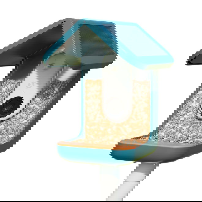 Bird Buddy -lintulauta kameralla