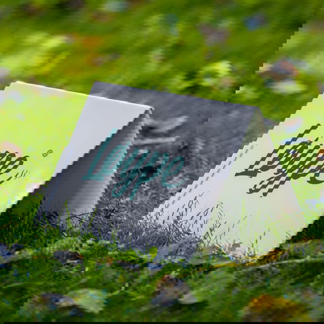 Rally-toko-kylttiteline Loype