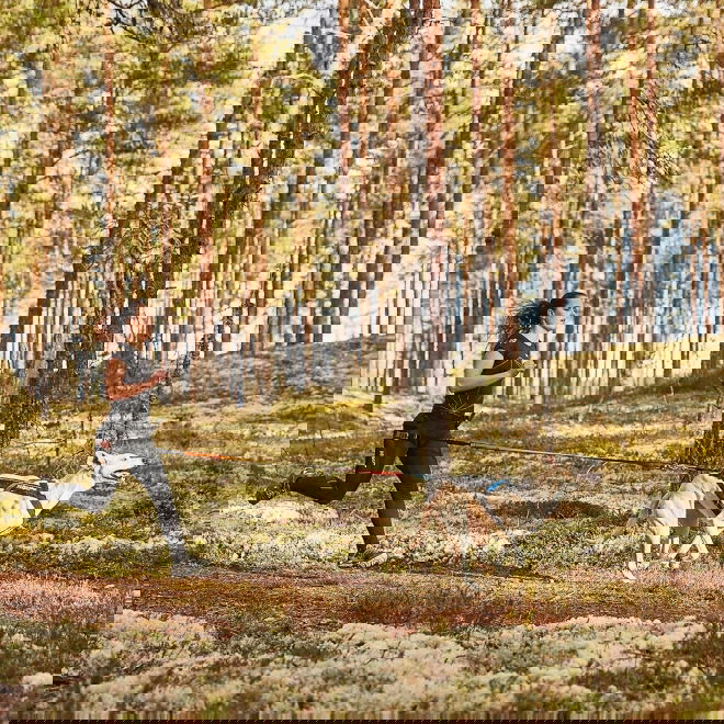 Koiran vetovaljaat Non-stop Freemotion