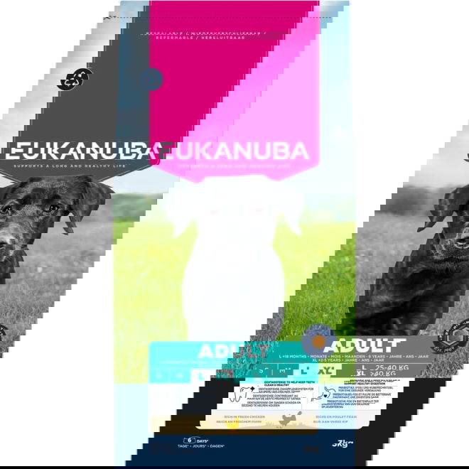 Eukanuba Adult Large