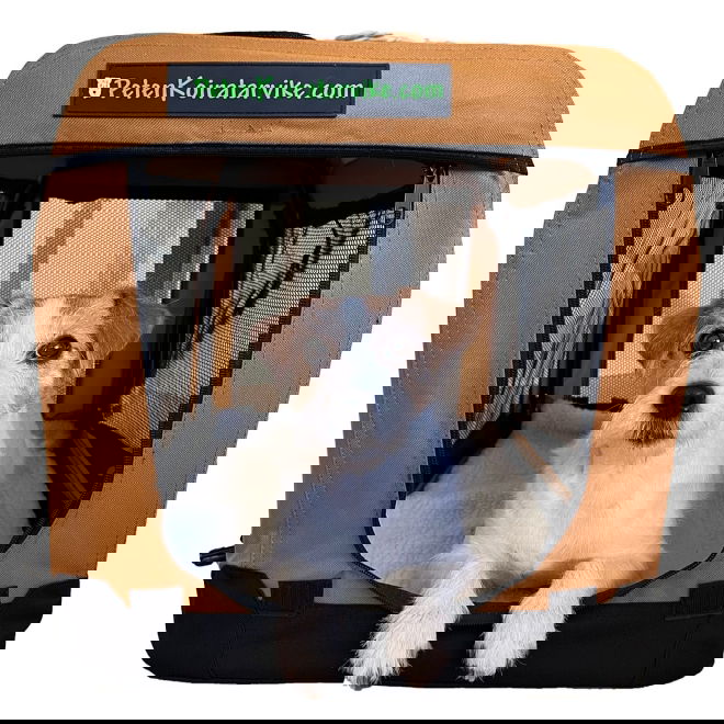 Koiran kevythäkki PetEasy, tyrni