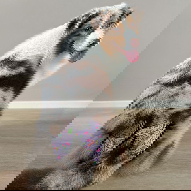 RuttuNuttu juoksup&ouml;ksyt kietaisumalli, Born to unicorn