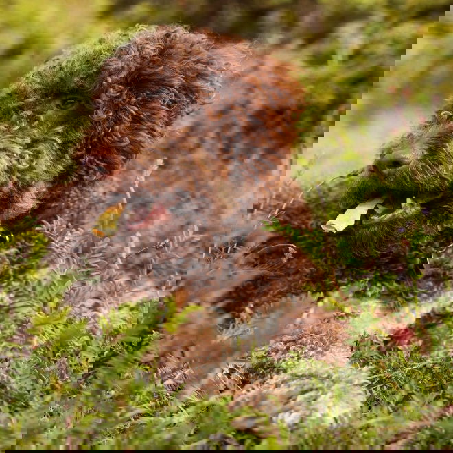 ESSENTIAL Skin Delights 200g