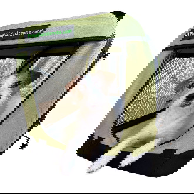 Kevythäkki PetEasy saniainen