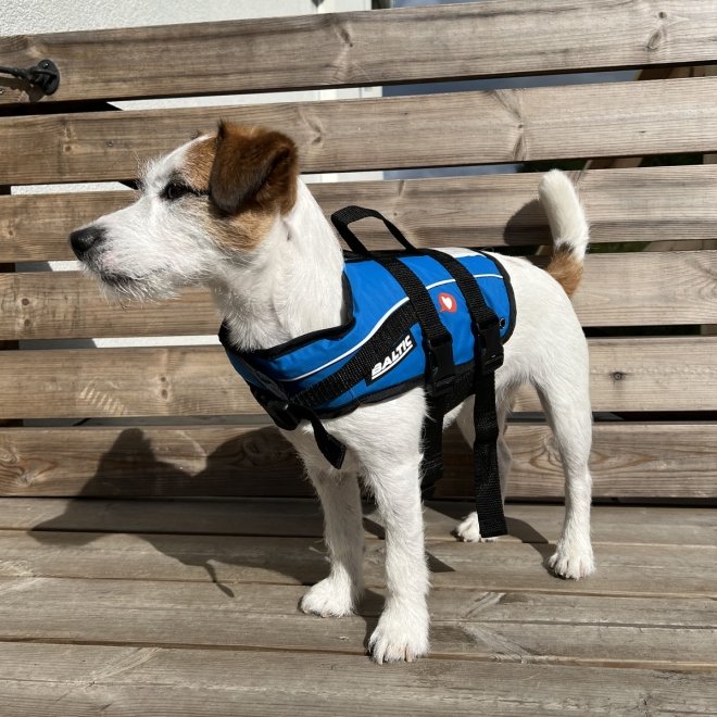 Koiran pelastusliivi Baltic Mascot, sininen
