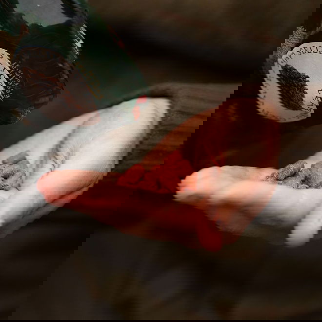 ESSENTIAL Motivation Delights 500g