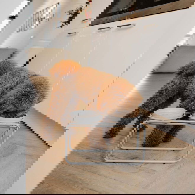 Kuppiteline District 70 Butler (M)