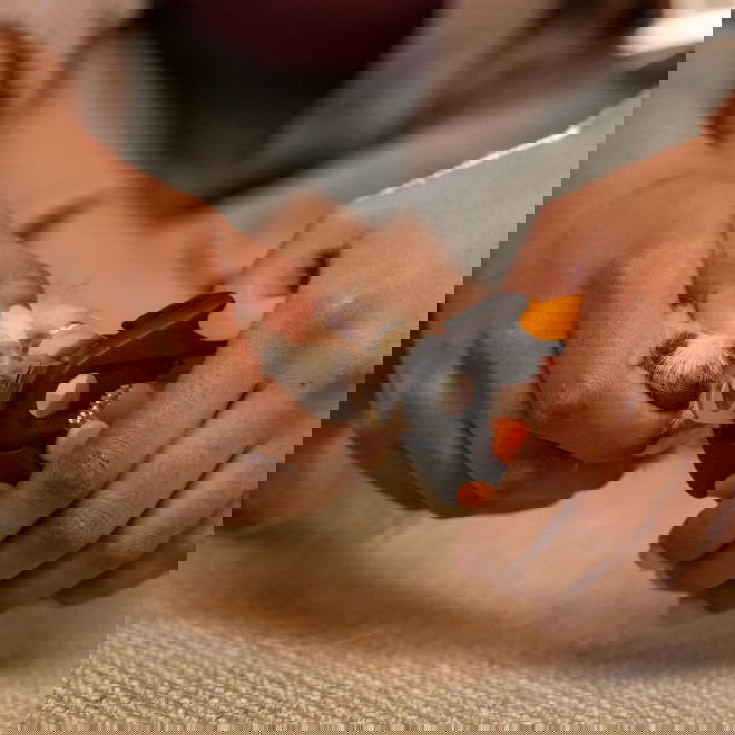 Fiskars ison koiran kynsisakset