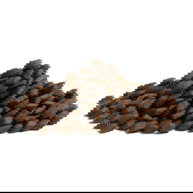 ESSENTIAL STAMINA SMALL BREED 2,5kg