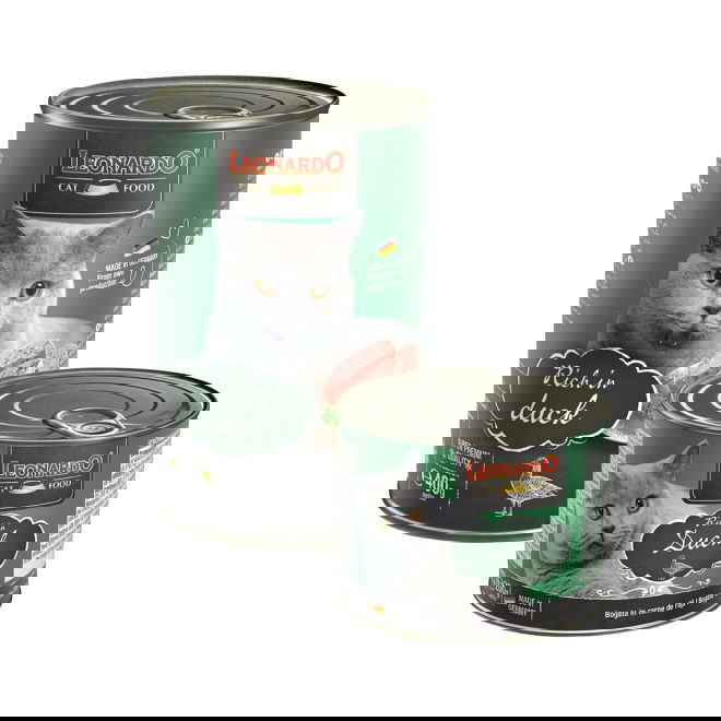 Leonardo Rich in ankka