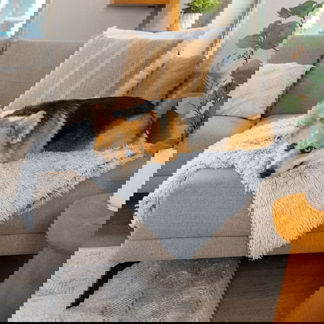 Best friend by sheri peitto, huurre 75 x 100 cm