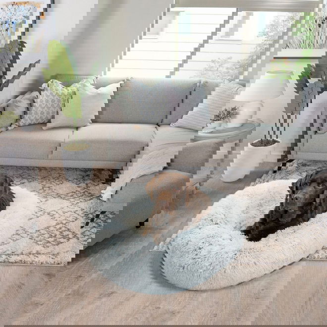 Koiran p&ouml;rr&ouml;peti Best Friends by Sheri,huurre (L)