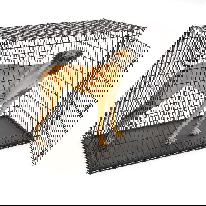 Koiranhäkki Midwest Solutions XXL