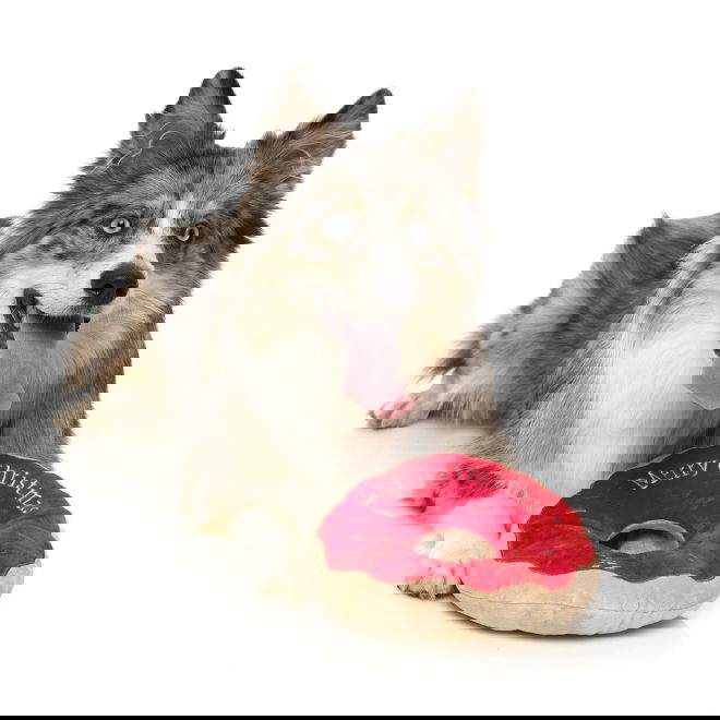 Pehmolelu FuzzYard Xmas Donitsi