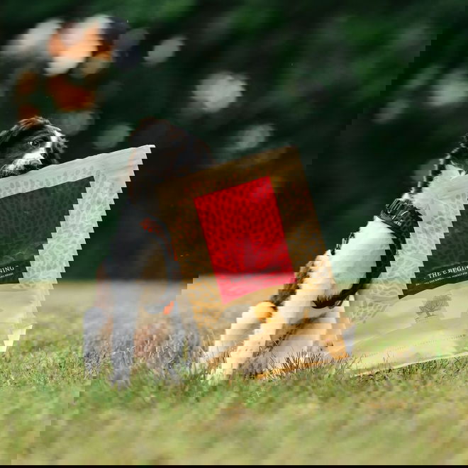 ESSENTIAL the BEGINNING SMALL BREED (2,5 kg)