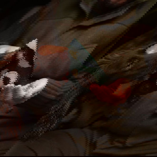 ESSENTIAL Motivation Delights 500g