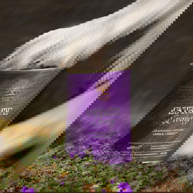 ESSENTIAL ESTATE LIVING PATÉ 400g