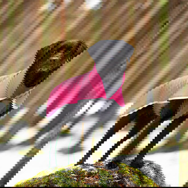 SporttiPomppa, pinkki