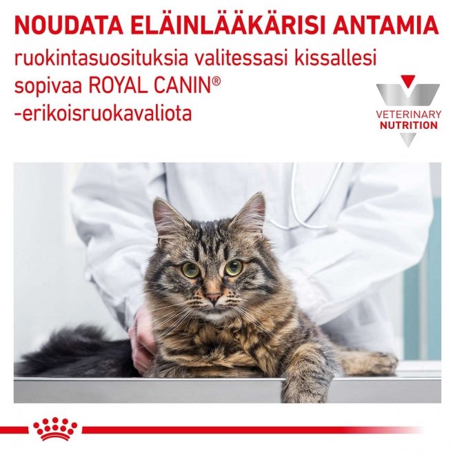 Royal Canin Veterinary Diets Cat Gastrointestinal Hairball