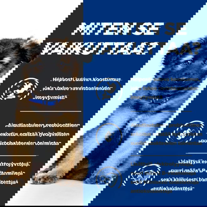 Hills Prescription Diet Puppy i/d