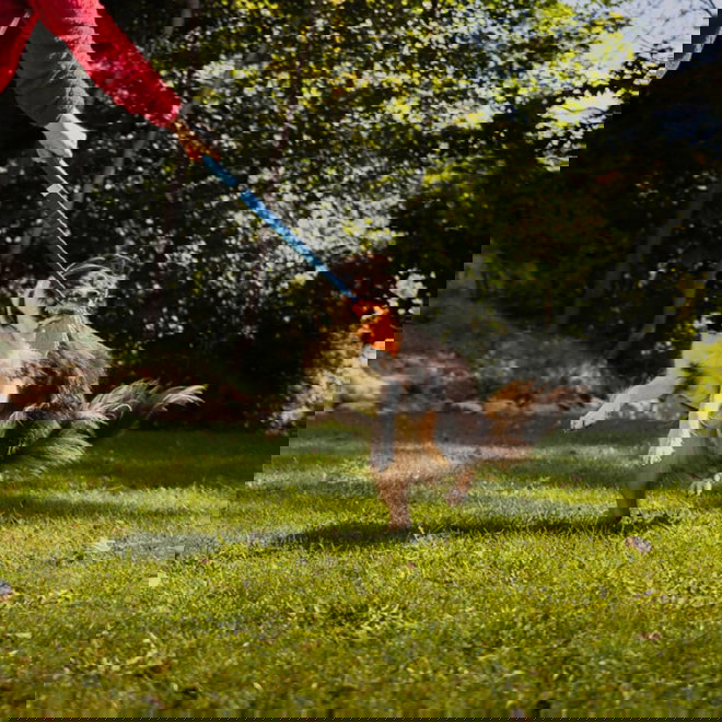 Loype Mopster -vetolelu