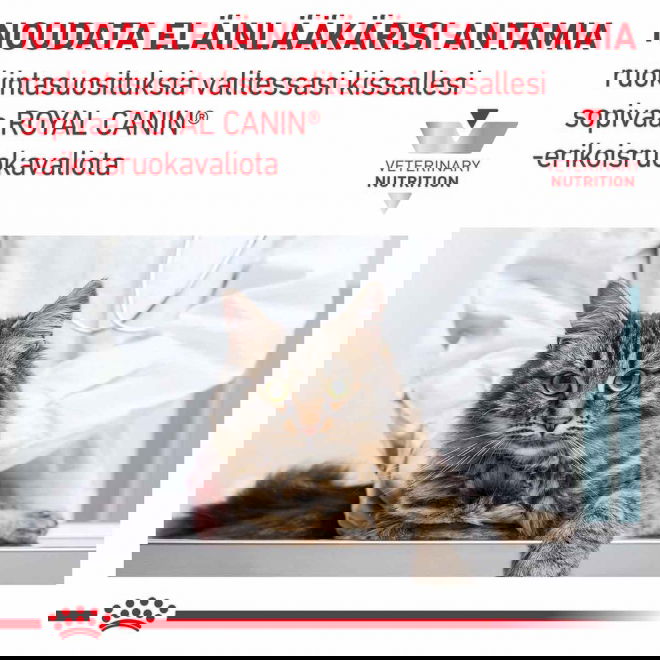 Royal Canin Veterinary Diets Cat Gastrointestinal Kitten